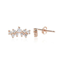 Load image into Gallery viewer, Rose Stud Earring
