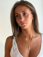 Load image into Gallery viewer, Fish Charm Necklace
