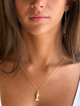 Load image into Gallery viewer, Fish Charm Necklace
