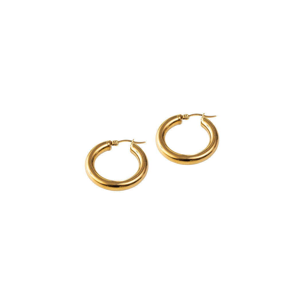 Gold Small Thick Hoops